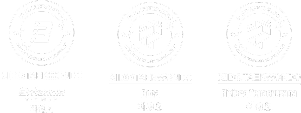 KIDO Taekwondo : Brand Short Description Type Here.